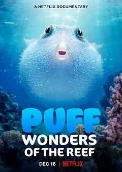 河豚之家：神奇的珊瑚礁