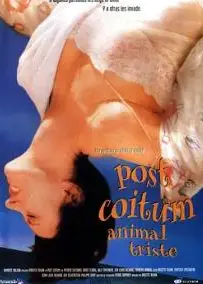做爱后动物感伤1998