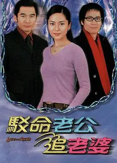 驳命老公追老婆国语
