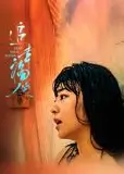 追幸福的人