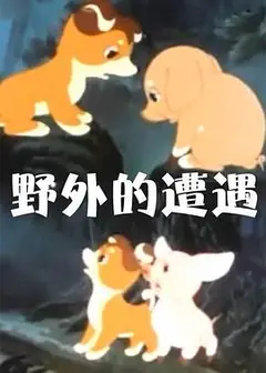 野外的遭遇