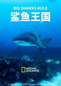 鲨鱼王国