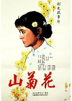 山菊花1982