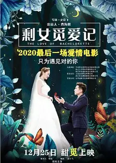 剩女觅爱记