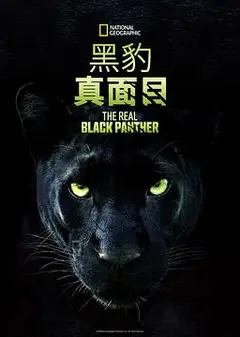 真黑豹无双