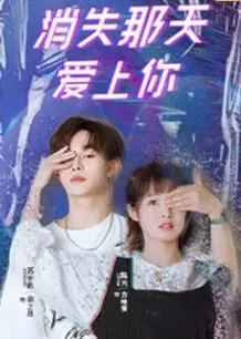 消失那天爱上你