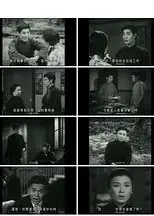 白头情侣粤语