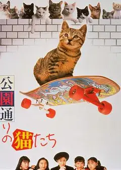 公园路的猫们