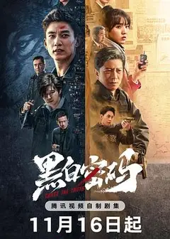 黑白密码