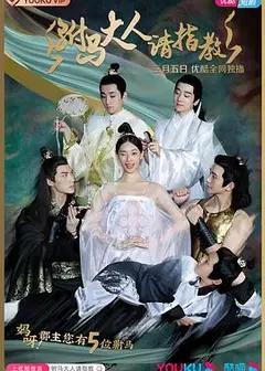 驸马大人请指教
