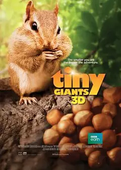 小巨人3D