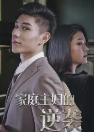 家庭主妇的逆袭