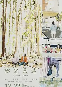 树冠羞避