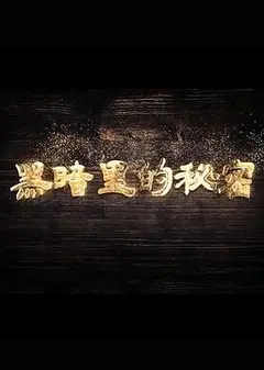 黑暗里的秘密