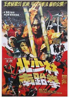 北少林南跆拳
