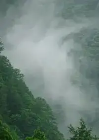 日本印象派水光和鸣