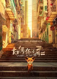 布偶狐小乖