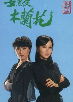 女黑侠木兰花