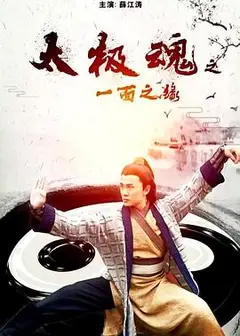 太极魂之一面之缘