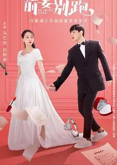 前妻别跑