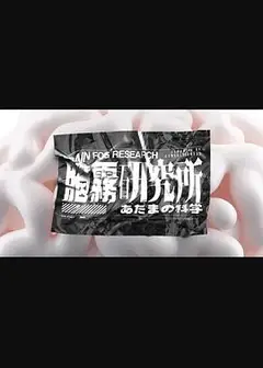 脑雾研究所