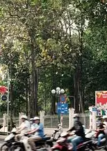 我们在这里生活