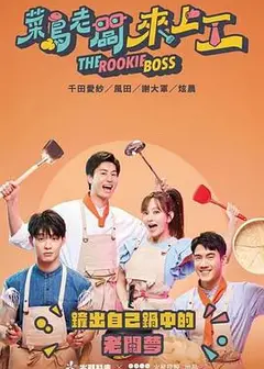 菜鸟老板来上工