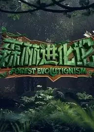 森林进化论