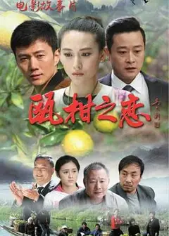 瓯柑之恋
