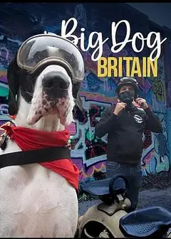 英伦巨犬粤语