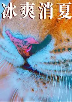 寒冰白血