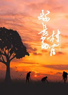 县长当村官