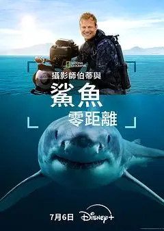 摄影师贝尔蒂与鲨鱼零距离