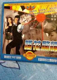 护花惊情（1997）