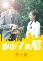 那小子真酷