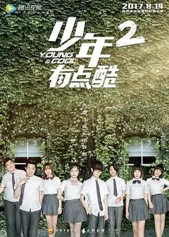 少年有点酷2