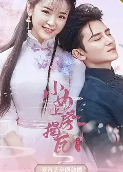 小女上房揭瓦第二季