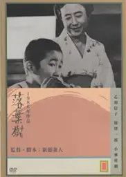 落叶树