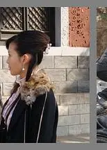 宝藏寻踪
