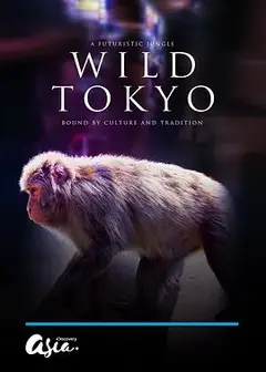 狂野东京