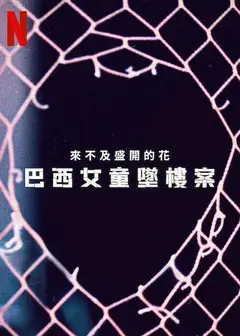 来不及盛开的花：巴西女童坠楼案