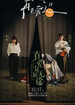 再见爱人第四季