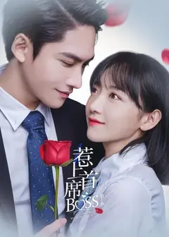 惹上首席BOSS 第一季