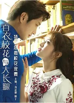 特工总裁校花宠妻