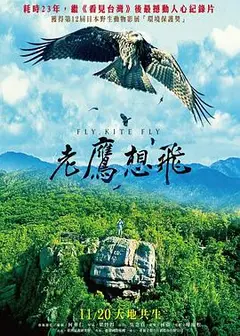 老鹰想飞