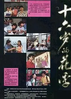 十六岁的花季