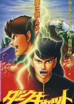 暗黑之猫