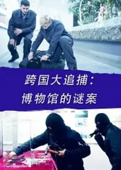 跨国大追捕：博物馆的谜案