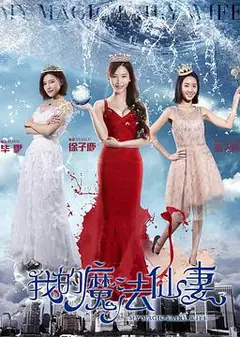 我的魔法仙妻