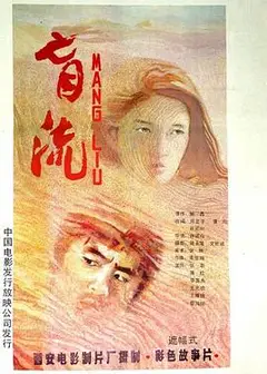 盲流